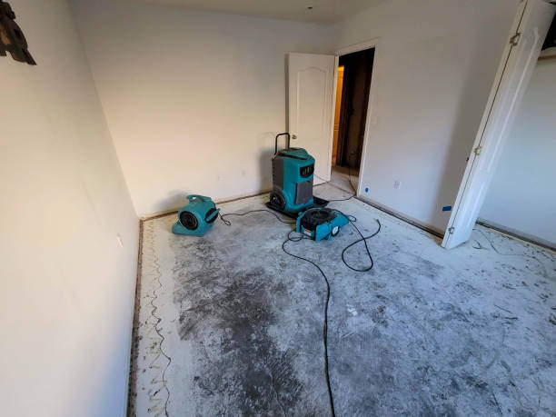 Best Ceiling water damage repair  in Baldwyn, MS