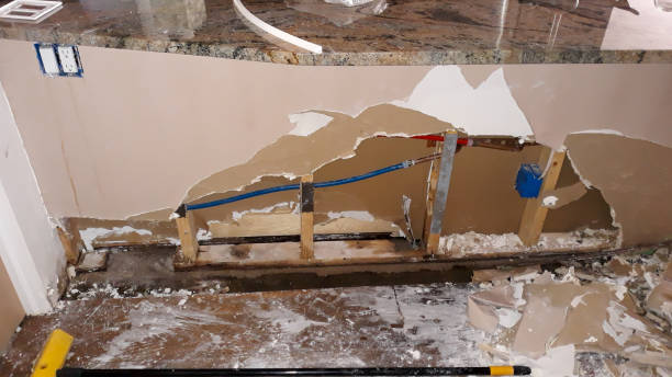 Best Water damage restoration mold remediation  in Baldwyn, MS