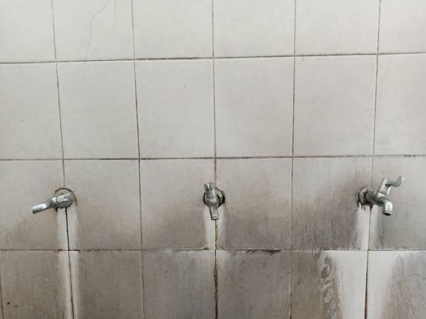 Best Carpet water damage restoration  in Baldwyn, MS