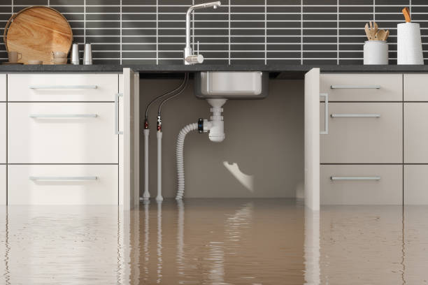 Best Professional water damage repair  in Baldwyn, MS