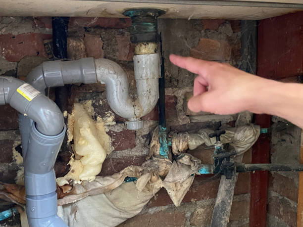Best Water damage contractors near me  in Baldwyn, MS