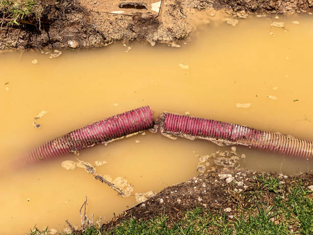 Best Residential water damage restoration  in Baldwyn, MS