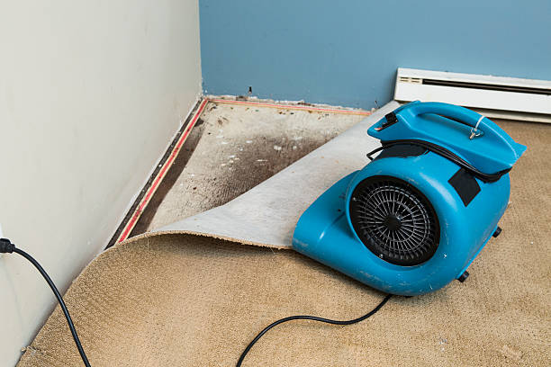 Best Water damage restoration near me  in Baldwyn, MS